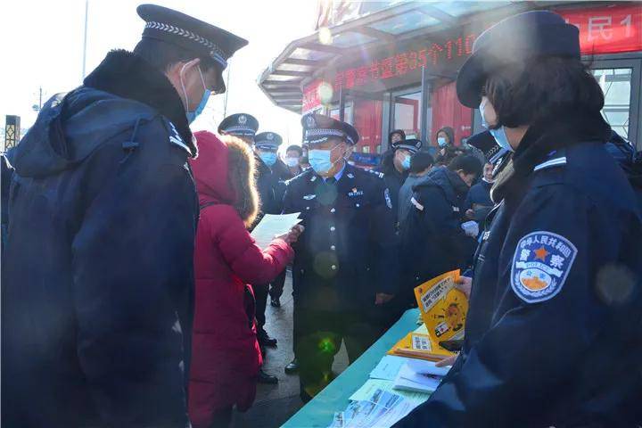 盛纪纲被警方逮捕原因，深度解析与落实