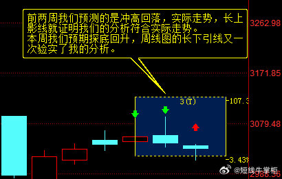一肖一码中持一一肖一码，精选解释解析落实