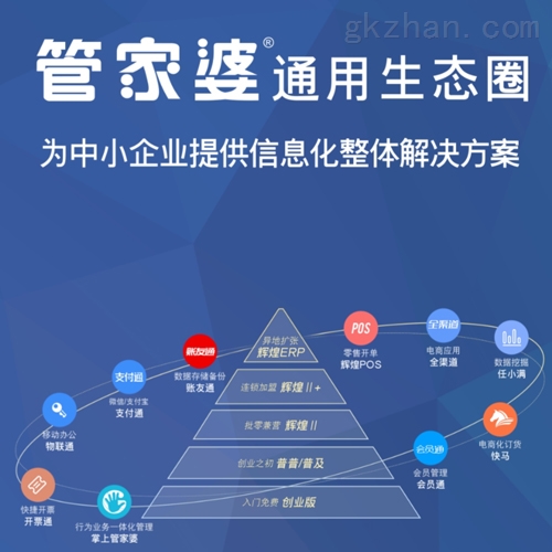 管家婆正版管家，精选解释解析与落实策略