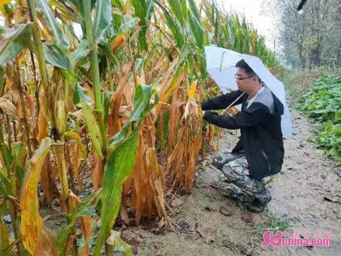 最新亚洲3S卫星节目表概览