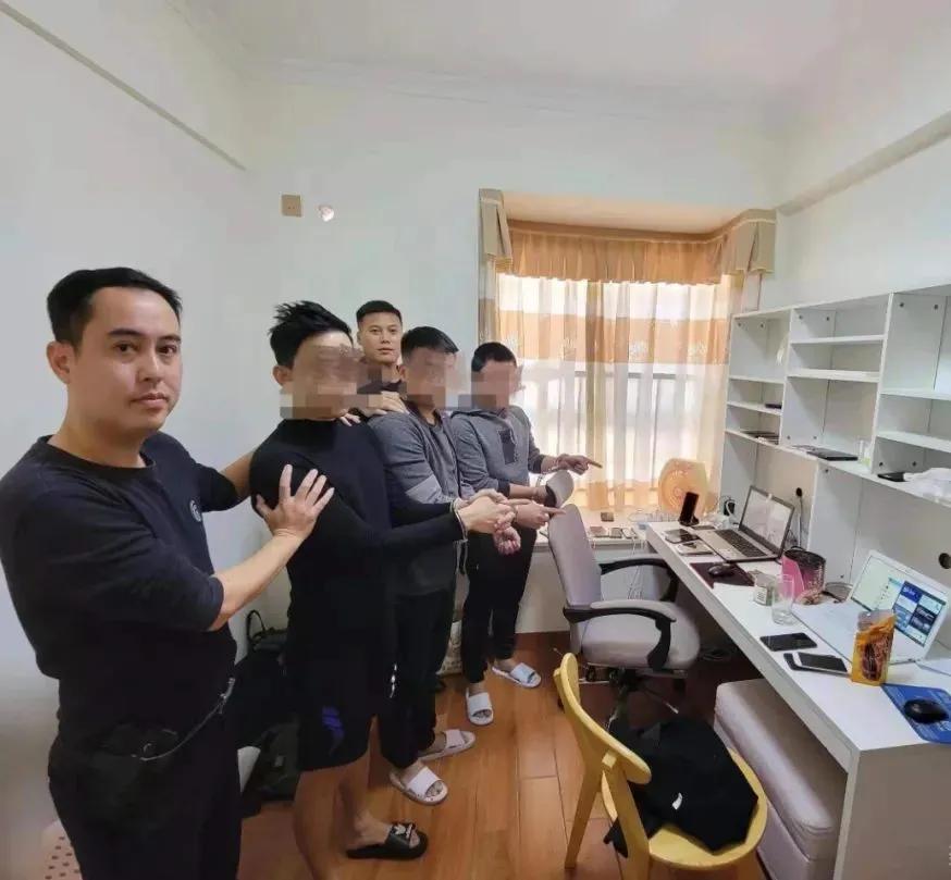 儋州最新网络诈骗案深度解析